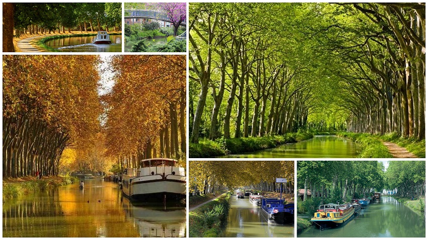 Canal do Midi