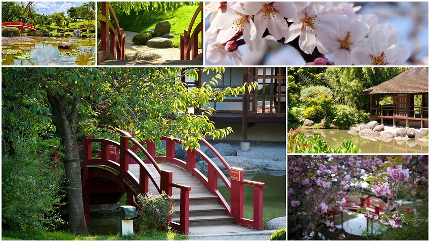 Japanese garden